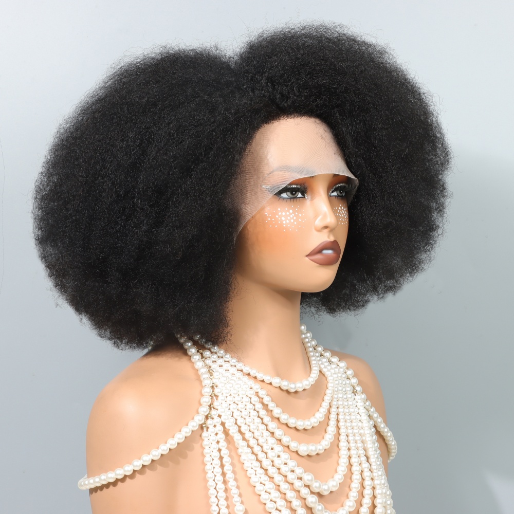 14インチのアフロウィッグ、黒人女性用縮れ毛カーリーレースフ - Glueless Wear And Go Human Hair Wig のレビューと価格